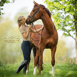 @romy.paardenfotografie on Instagram