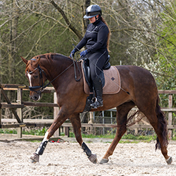 @equi.deniess on Instagram